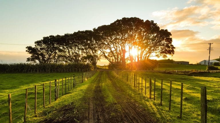 Best Places to Live | A country must track with the sun coming through the trees